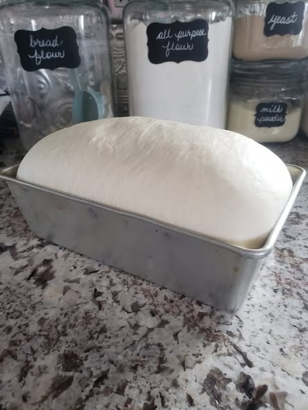 Sourdough Sandwich Bread – Soft, Fluffy & Perfect for Everyday Use