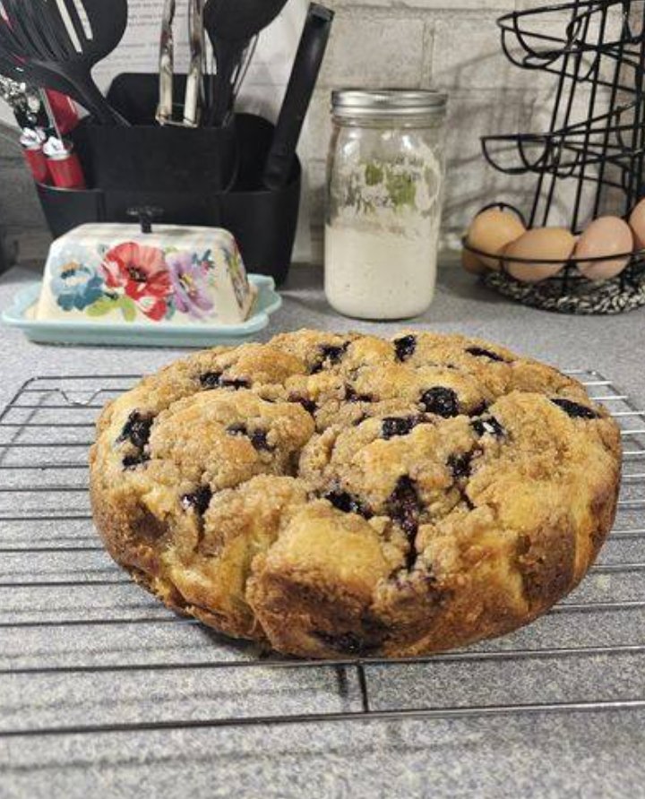 Blueberry Crumb Cake