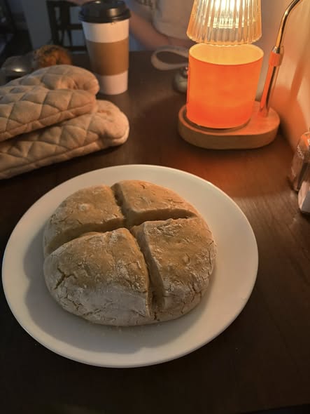 Sourdough for Beginners Artisan 1 Loaf Beginner’s Recipe