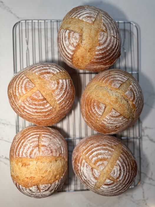 The Best Sourdough Bread Bowls (Same-Day or Long-Fermented)