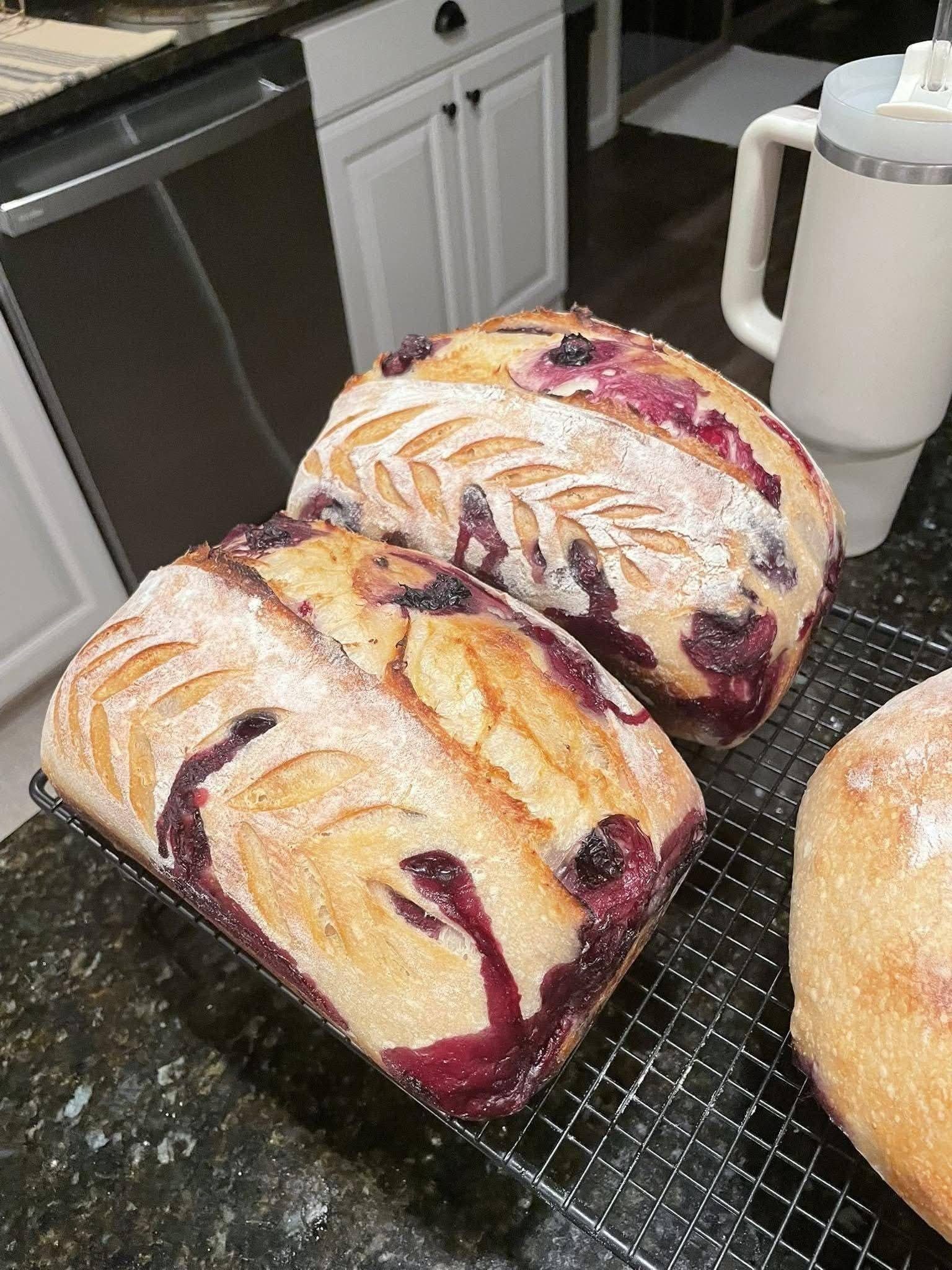 Lemon Blueberry Cream Cheese Sourdough