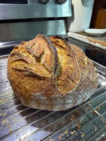 Homemade Artisan Sourdough Bread Recipe